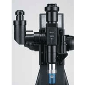 视频显微镜图片