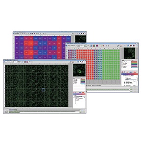 显微镜软件图片