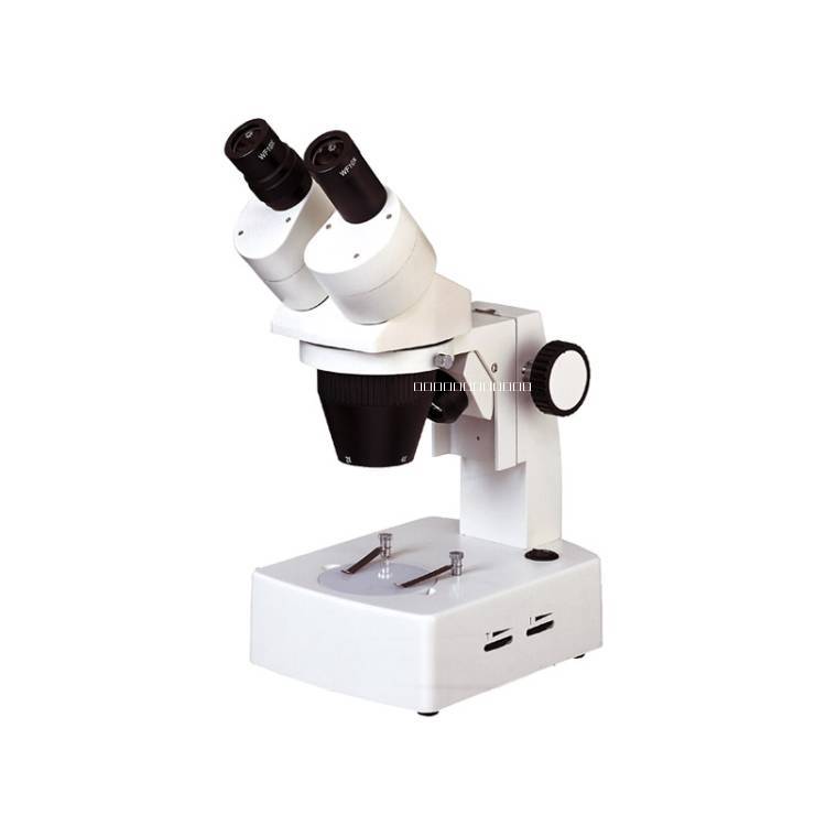 体视显微镜