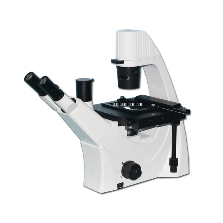 倒置生物显微镜