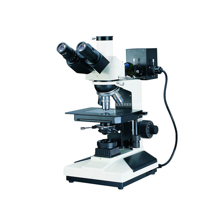 正置金相显微镜