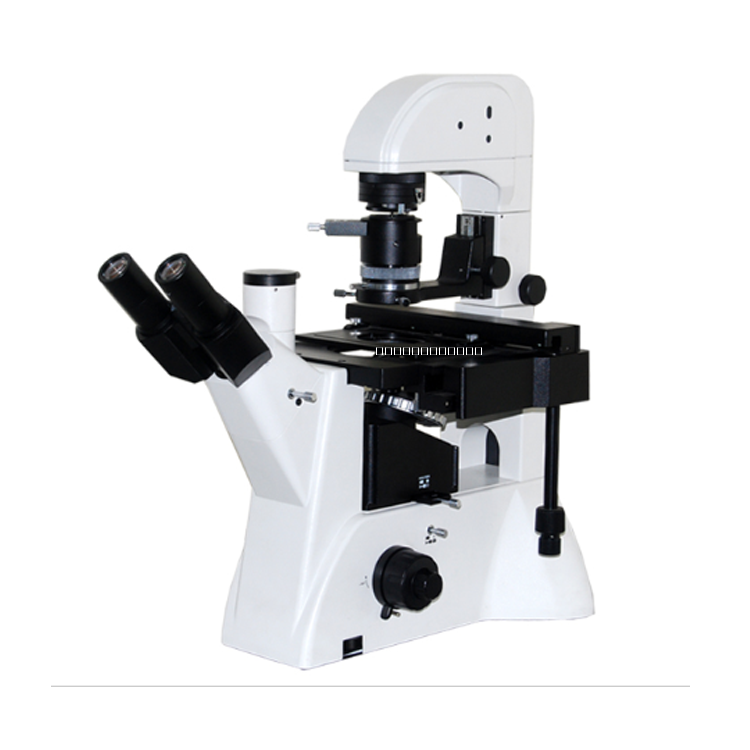 倒置生物显微镜