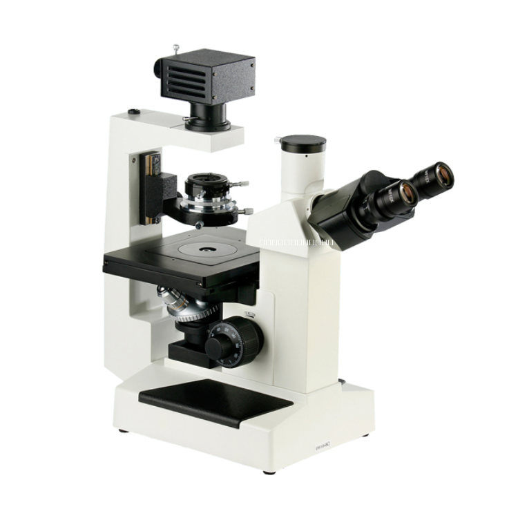 倒置生物显微镜